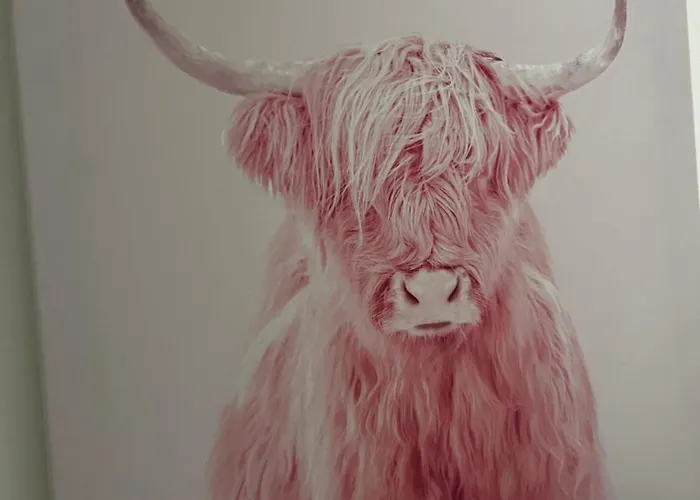 Pinke Kuh Apartamento *